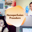 hemoperfusion procedure